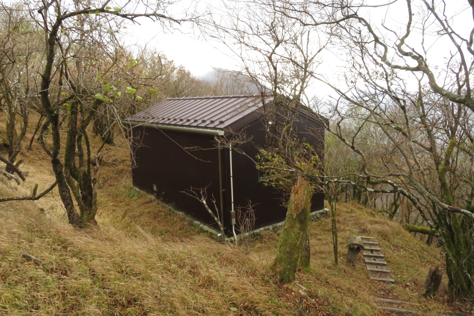 加入道山 2019 11 18 すかいさんの大室山 畦ヶ丸山 菰釣山の活動日記 Yamap ヤマップ