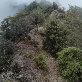 石堂山・樋口山 危険な痩せ尾根を下ります