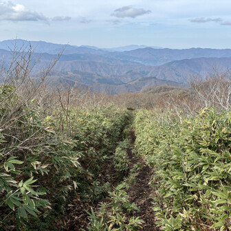 金剛堂山 前金剛から同じコースで下山します