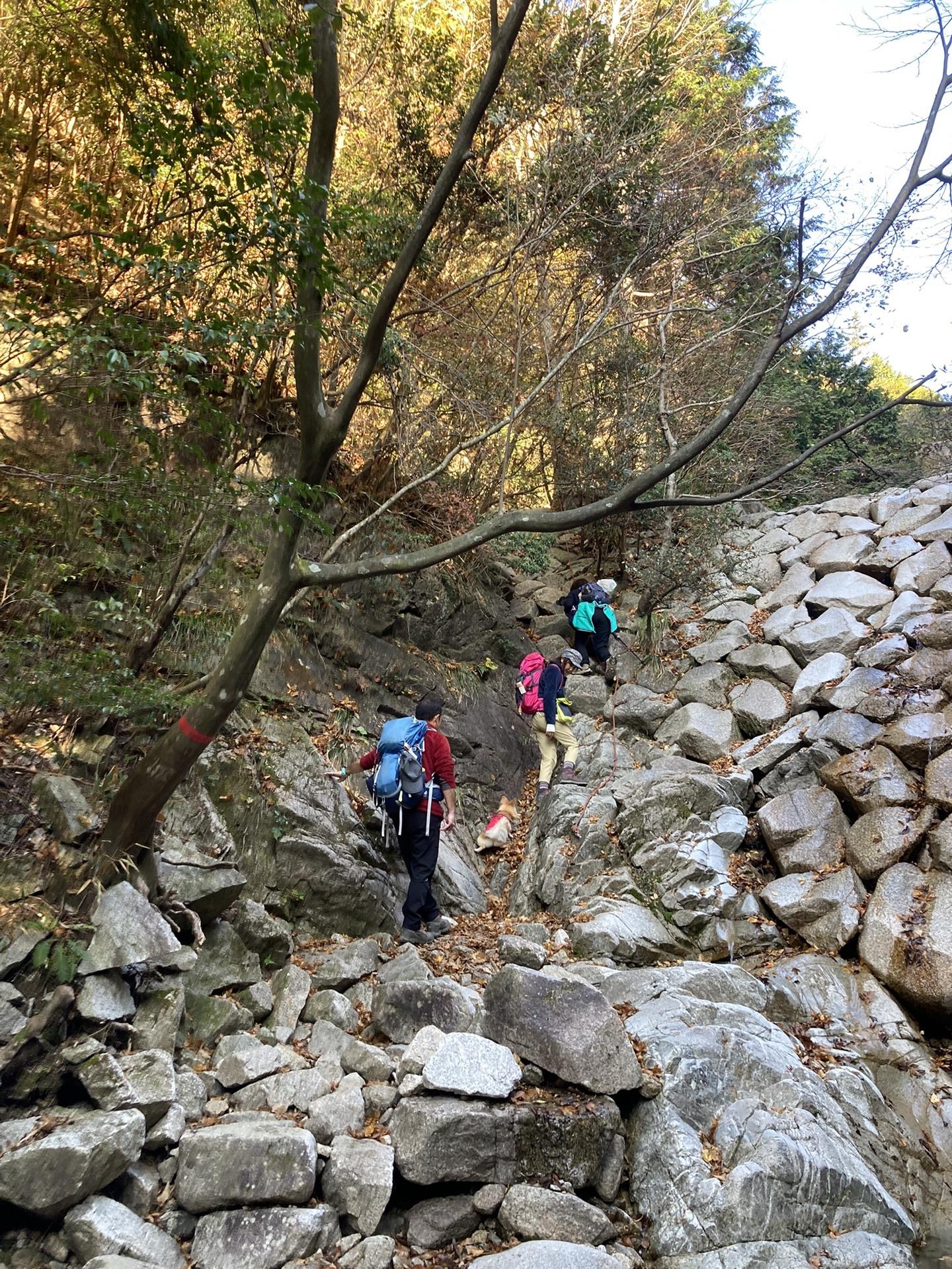 釈迦ヶ岳 きなこちゃん、得意の激登り❗️