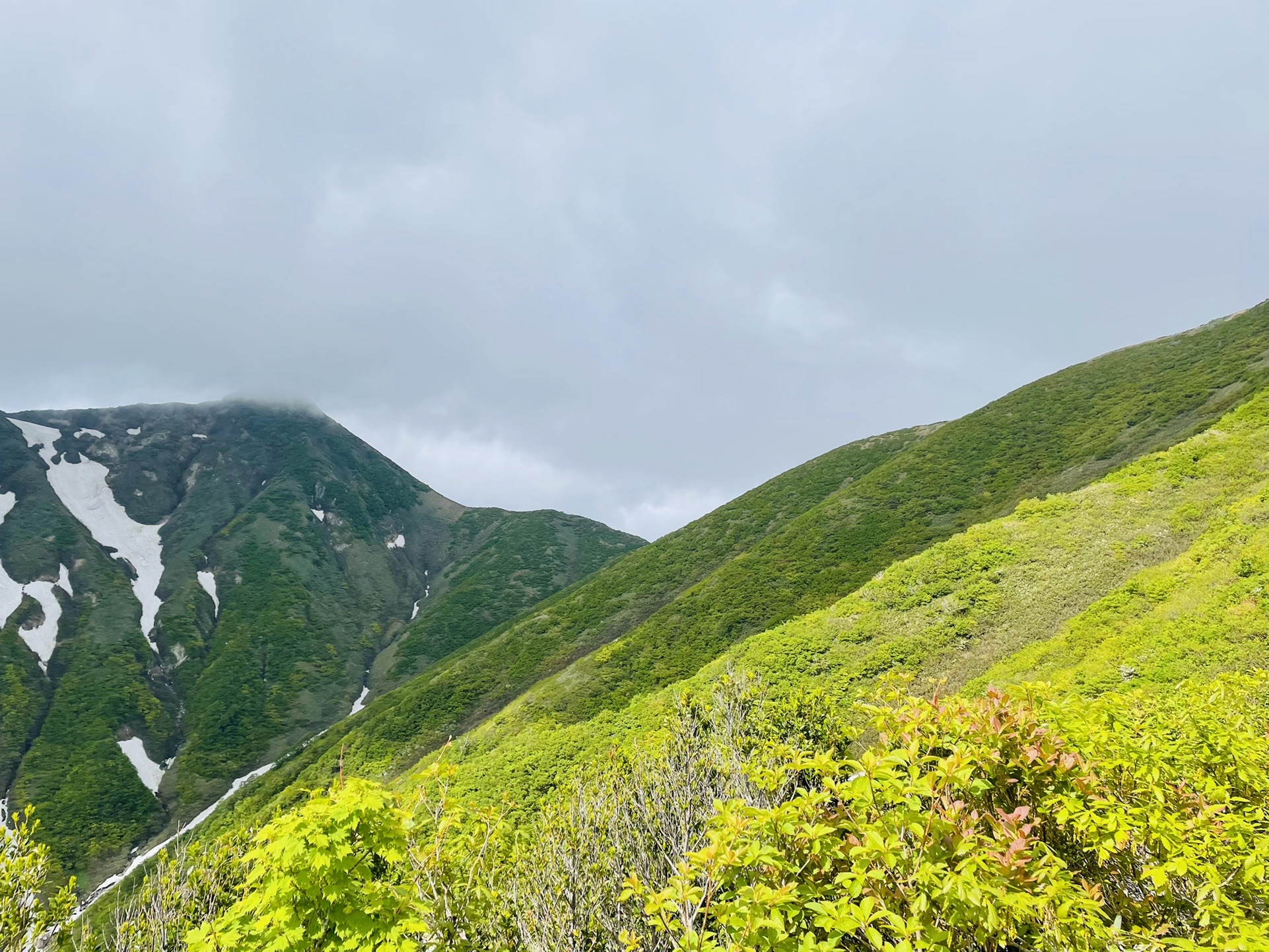 スライドする方に「タモギいっぱいだよー」と言われる前に、こちらから「エブリの小屋はどんなですか？」と聞く作戦。
タモギを諦めエブリにシフトチェンジした。
しかし時既に遅し。