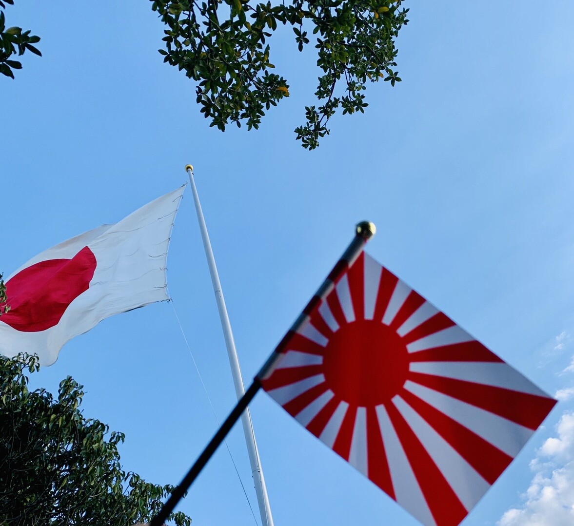 祝日限定 はためくﾄﾞﾃﾞｶ日章旗 白山 嶽山 大鉢山 熊高山 石鎚山 がべりこ さんのさぬき市の活動日記 Yamap ヤマップ