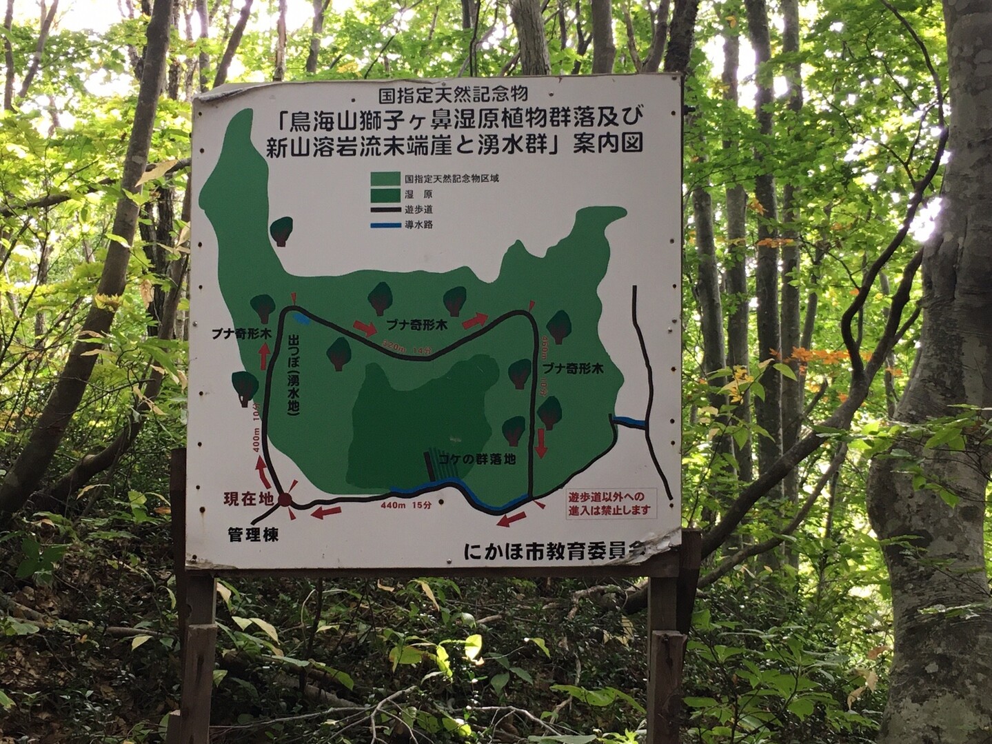 ガーデン カフェtimeと中島台 獅子ヶ鼻湿原 シードさんのウォーキングの活動日記 Yamap ヤマップ