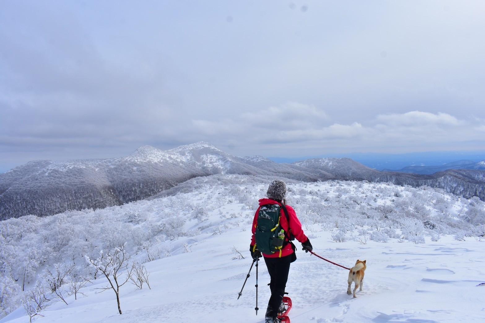 十和田山でリキ🐶絶体絶命 / tomoさんの三ッ岳（戸来岳）・十和田山・十和利山の活動データ YAMAP / ヤマップ