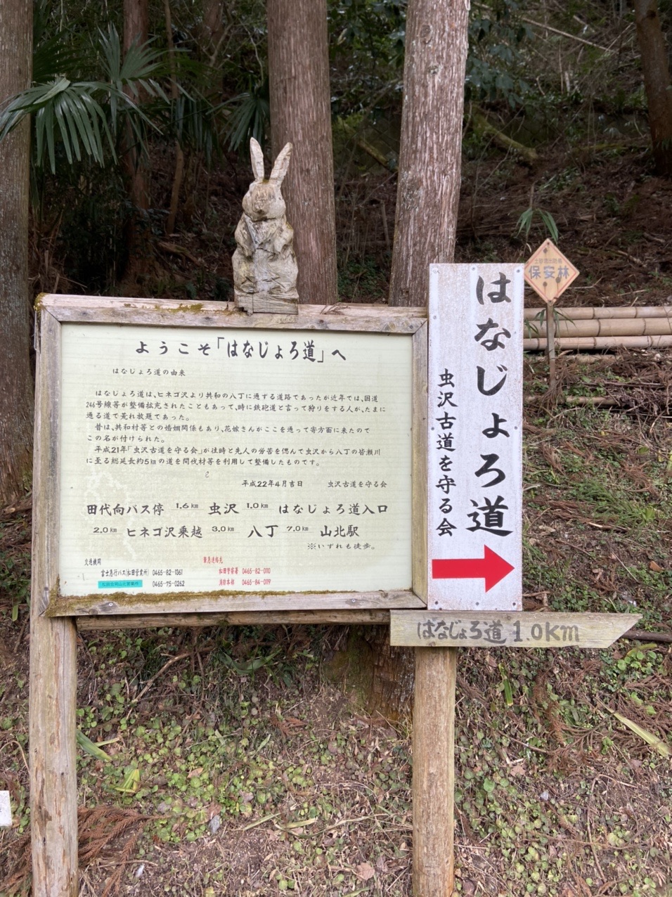 高松山 はなじょろ道 Ma34sさんの高松山 大野山の活動日記 Yamap ヤマップ
