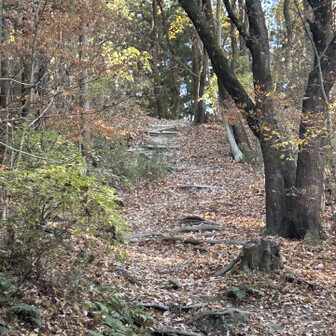 宝登山に向けて階段の始まり