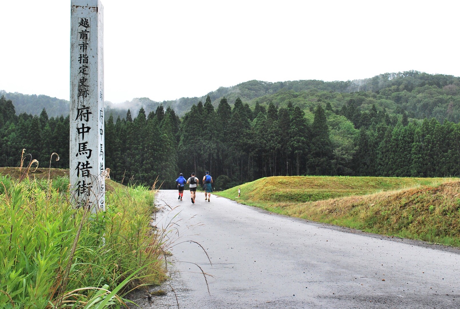 大坂峠 / のっぽ さんの大坂山・龍神山の活動データ YAMAP / ヤマップ