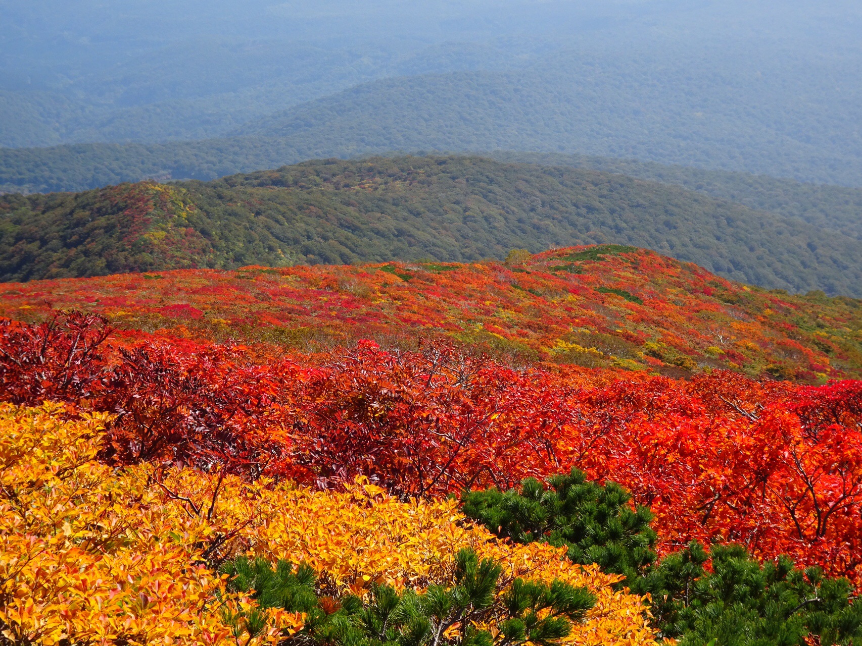 栗駒山の紅葉 いわかがみ平 東栗駒コース 須川温泉 あいこさんの栗駒山 須川岳 秣岳 虚空蔵山の活動日記 Yamap ヤマップ