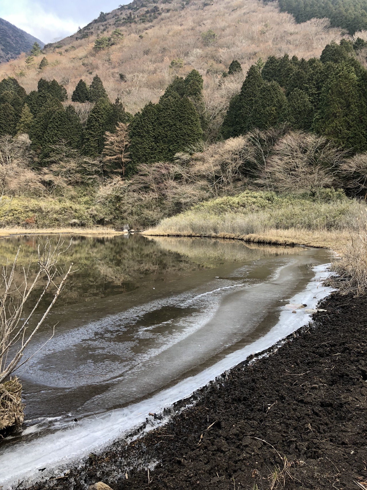 お玉ヶ池 精進池散策 Umiさんの箱根山 神山の活動日記 Yamap ヤマップ