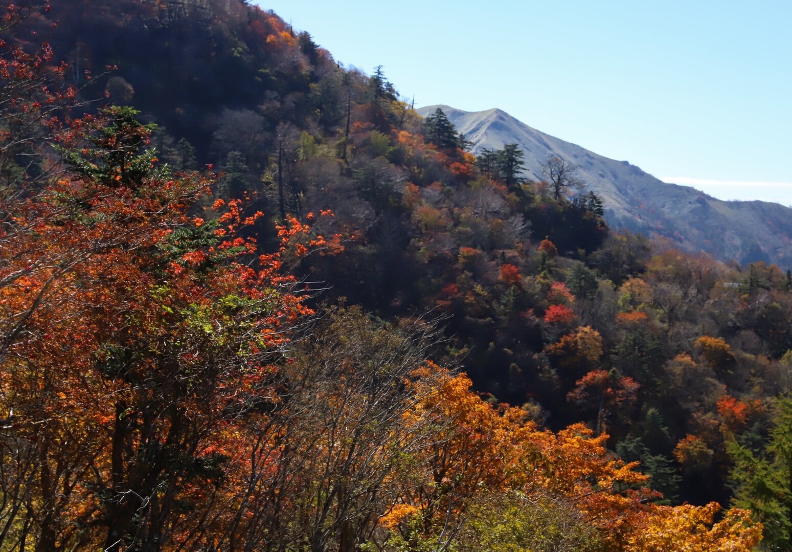 剣山だーす 失われたアーク 剣山の写真3枚目 思いがけず紅葉のタイミングもgoodだっ Yamap ヤマップ
