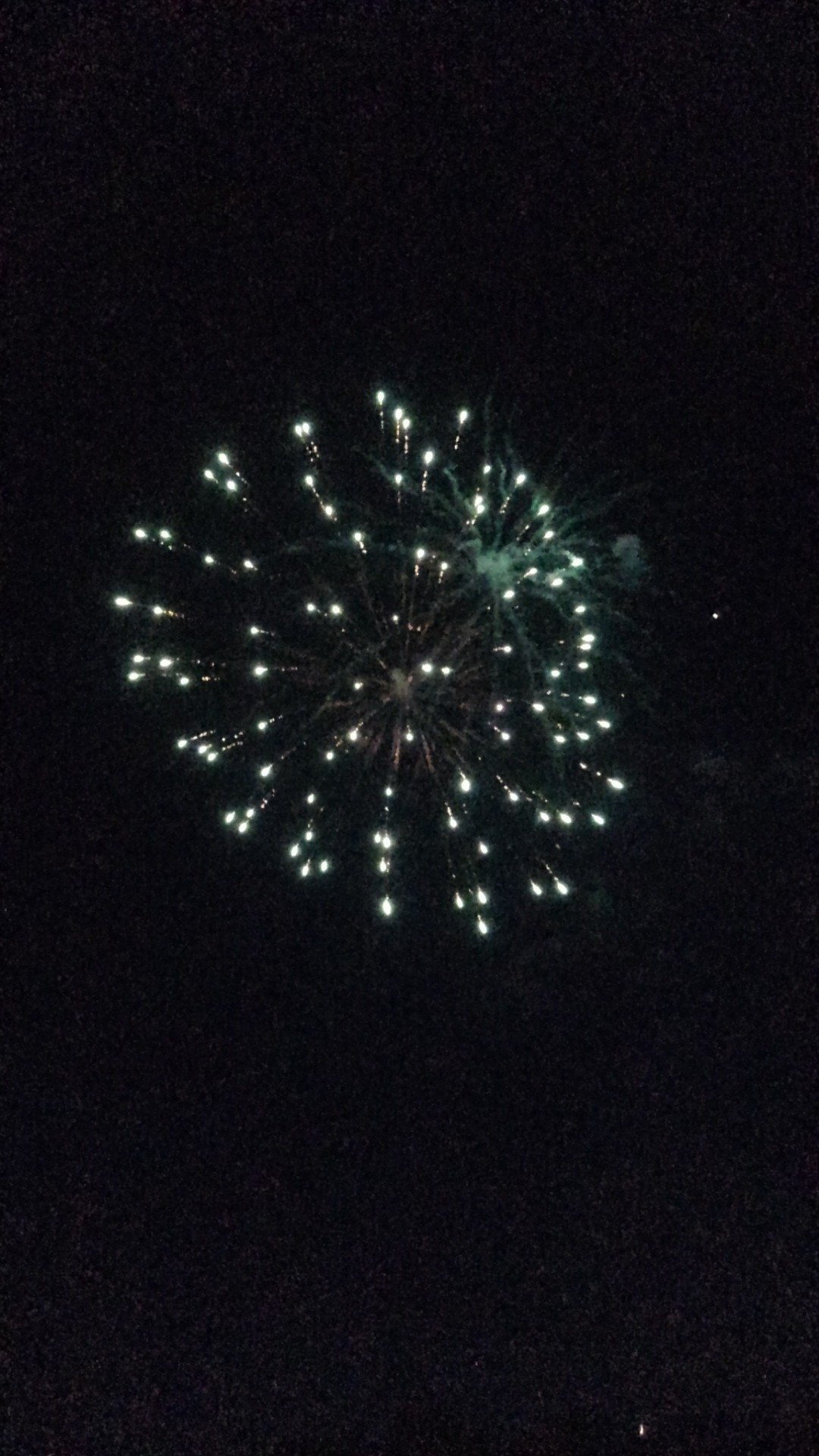 飯能河原花火大会 麻呂さんの日和田山 物見山の活動データ Yamap ヤマップ