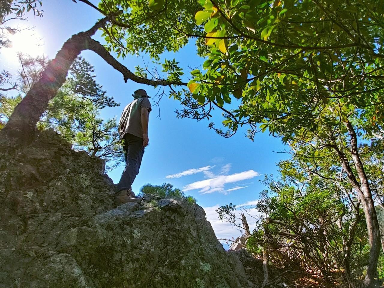 展望所に行きましょ🎵 鷲敷 竜王山(ひらしん山?) / メジナさんの四国遍路その2の活動データ YAMAP / ヤマップ