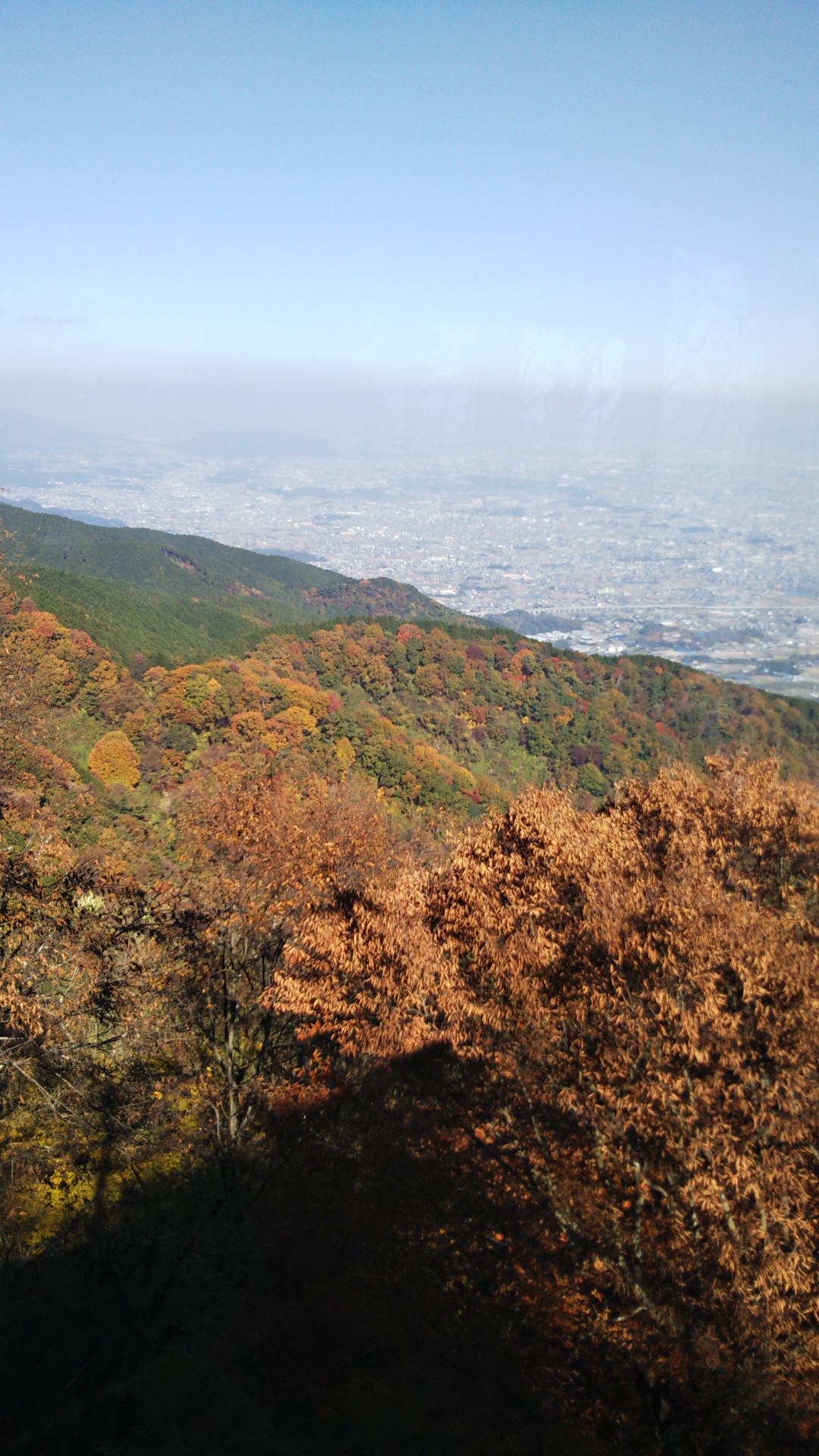 葛城山 紅葉とススキ るるあやさんの金剛山 二上山 大和葛城山の活動データ Yamap ヤマップ