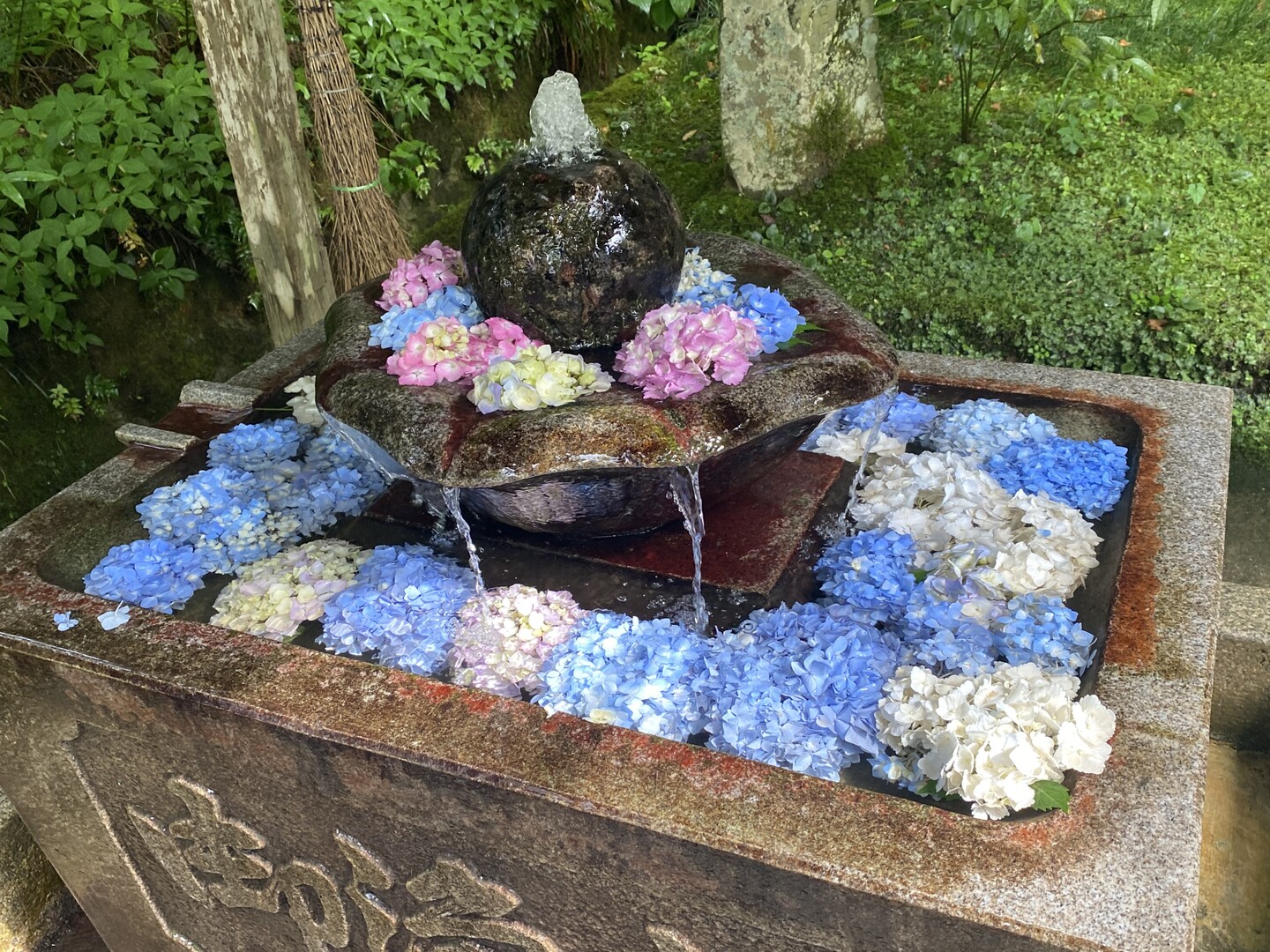 補陀洛山（ふだらくさん）華觀音寺(丹波紫陽花寺)