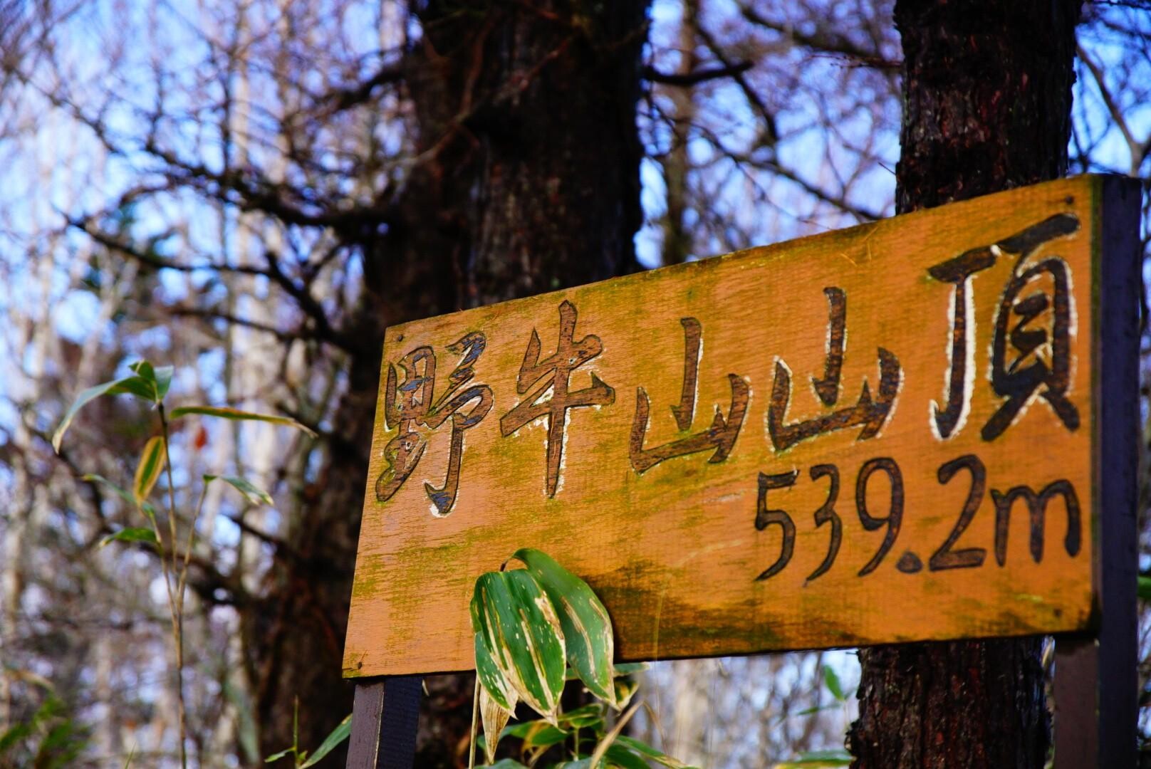 野牛山 / えりぴょんさんの野牛山・北広山の活動データ YAMAP / ヤマップ