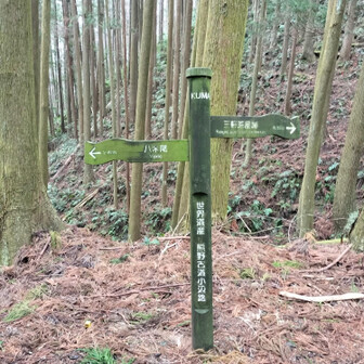熊野古道 小辺路 道標もちゃんとあります😅