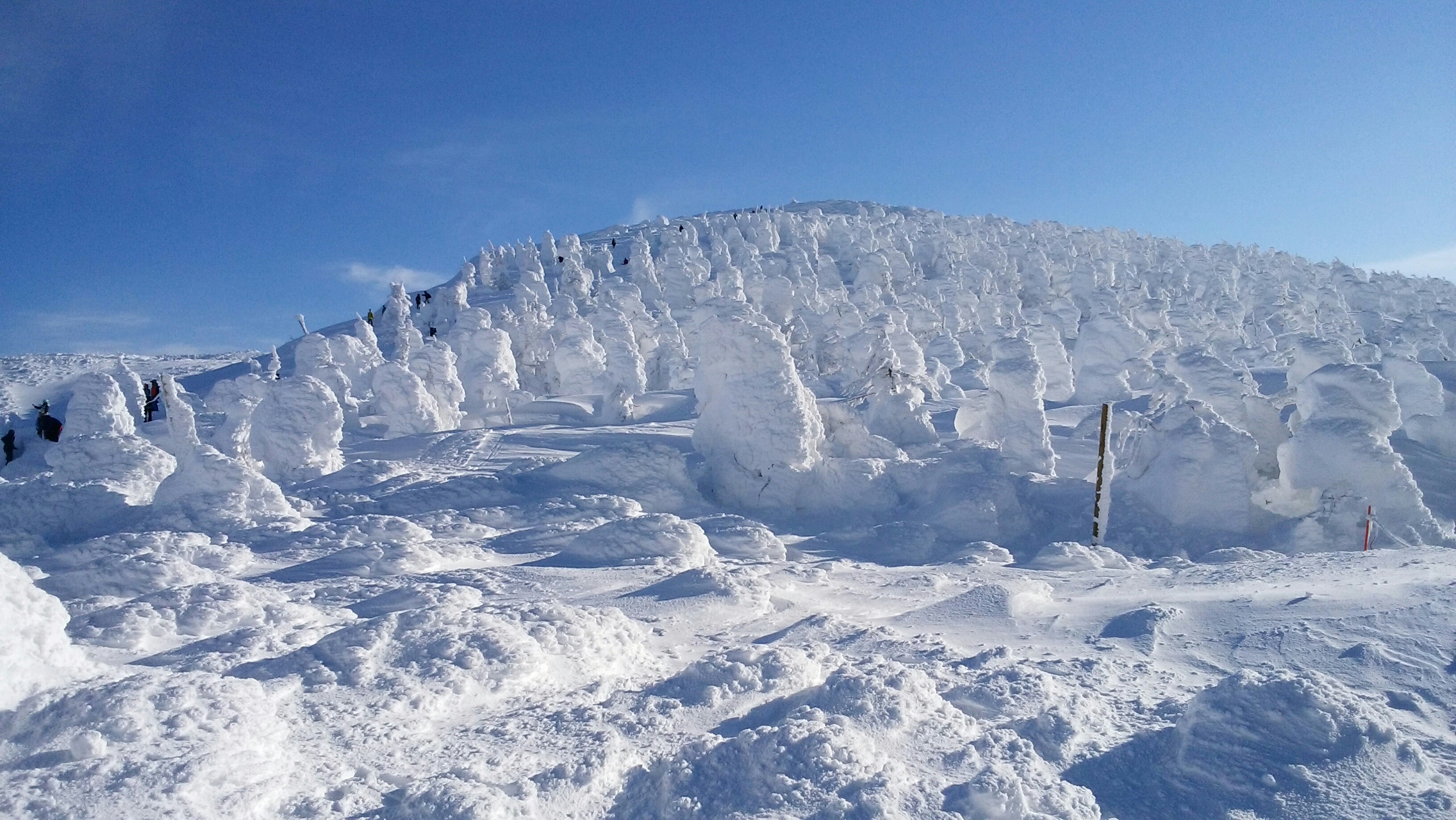 山形蔵王 樹氷と青空 フェレさんの蔵王山 雁戸山 不忘山の活動日記 Yamap ヤマップ