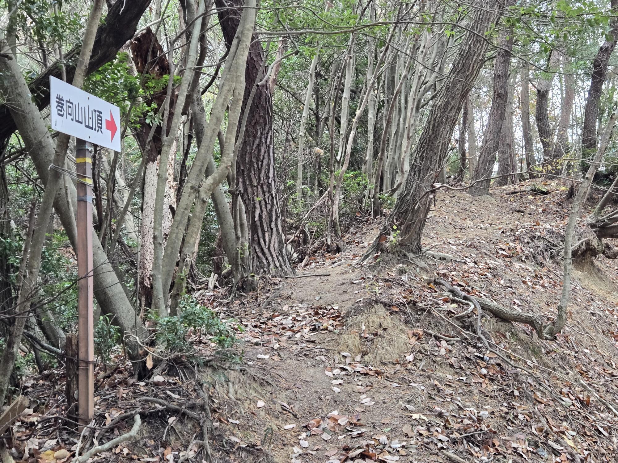 三輪山・巻向山・龍王山 巻向山こっちです❗。
