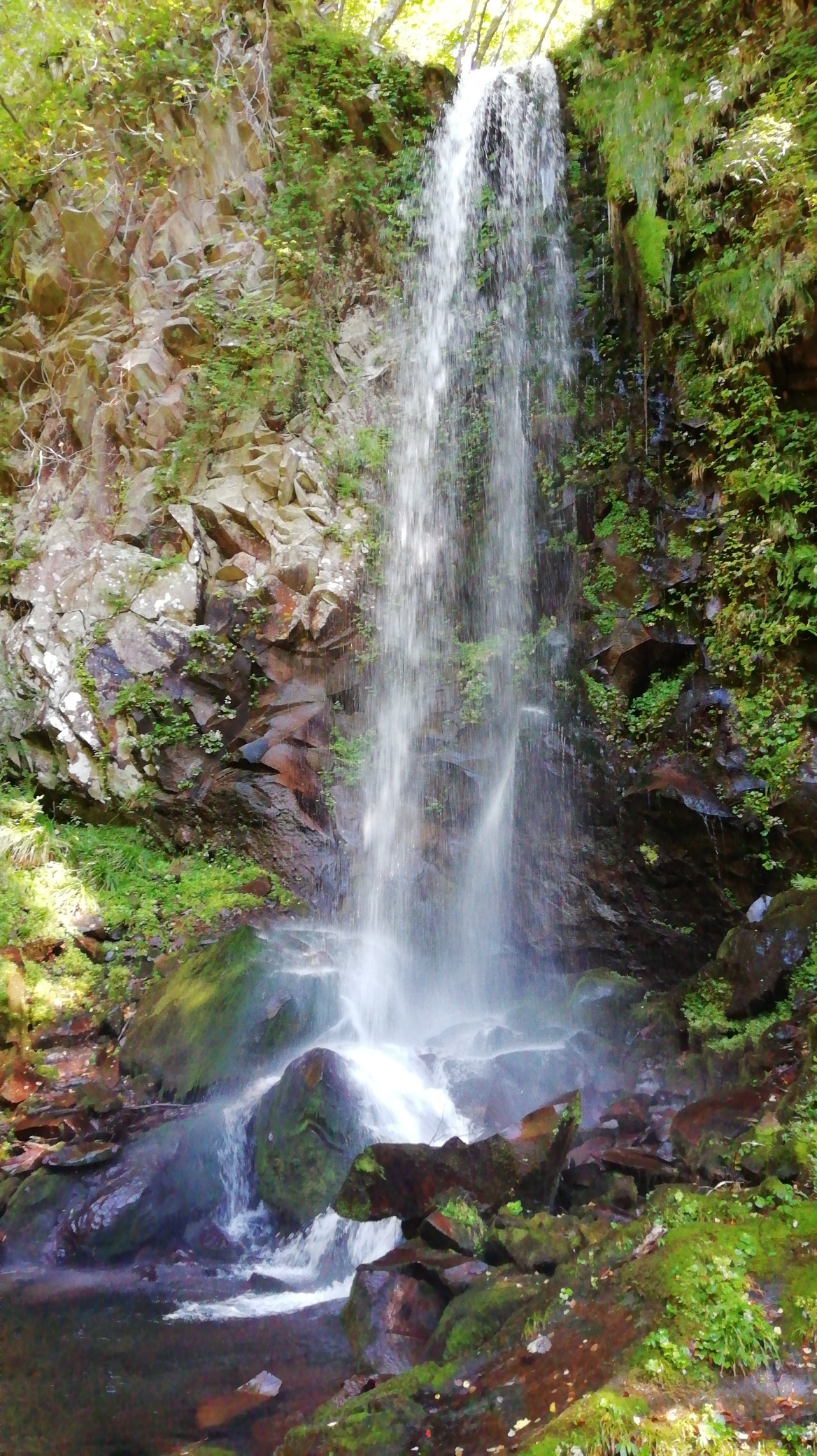 高瀬峡散策 遊佐町 21 09 25 ムサシさんの遊佐町の活動データ Yamap ヤマップ