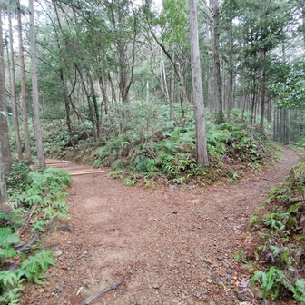 熊野古道 小辺路 左の道を行きます