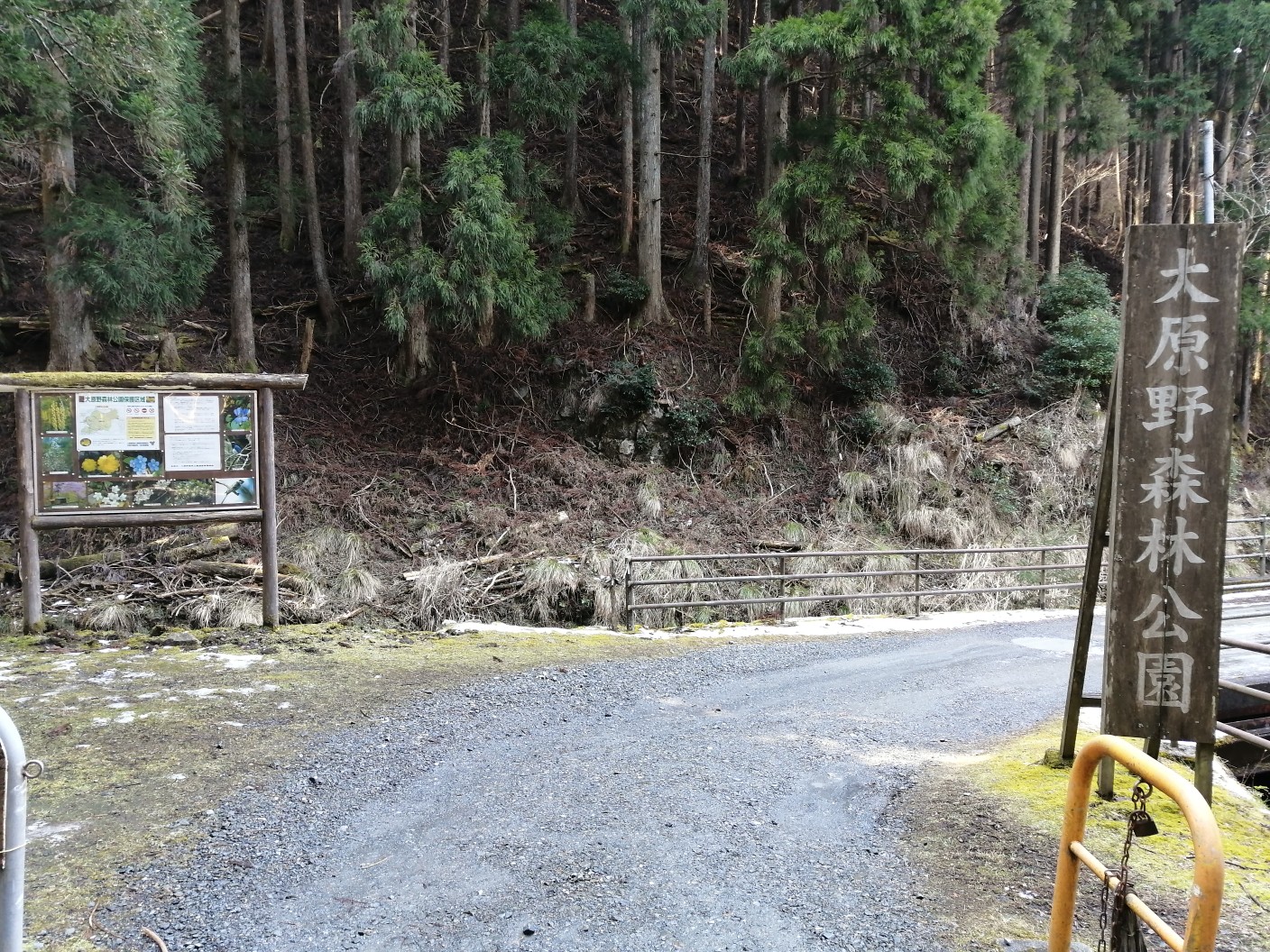 遠かったポンポン山 Mantaさんのポンポン山 釈迦岳 小塩山 若山の活動日記 Yamap ヤマップ