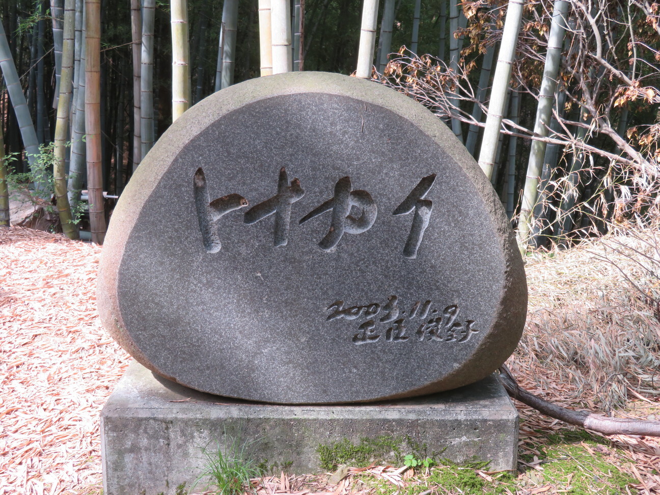 安満墓地の東にある鉄塔とトナカイ 林道 たきぞうさんのポンポン山 釈迦岳 小塩山 若山の活動日記 Yamap ヤマップ
