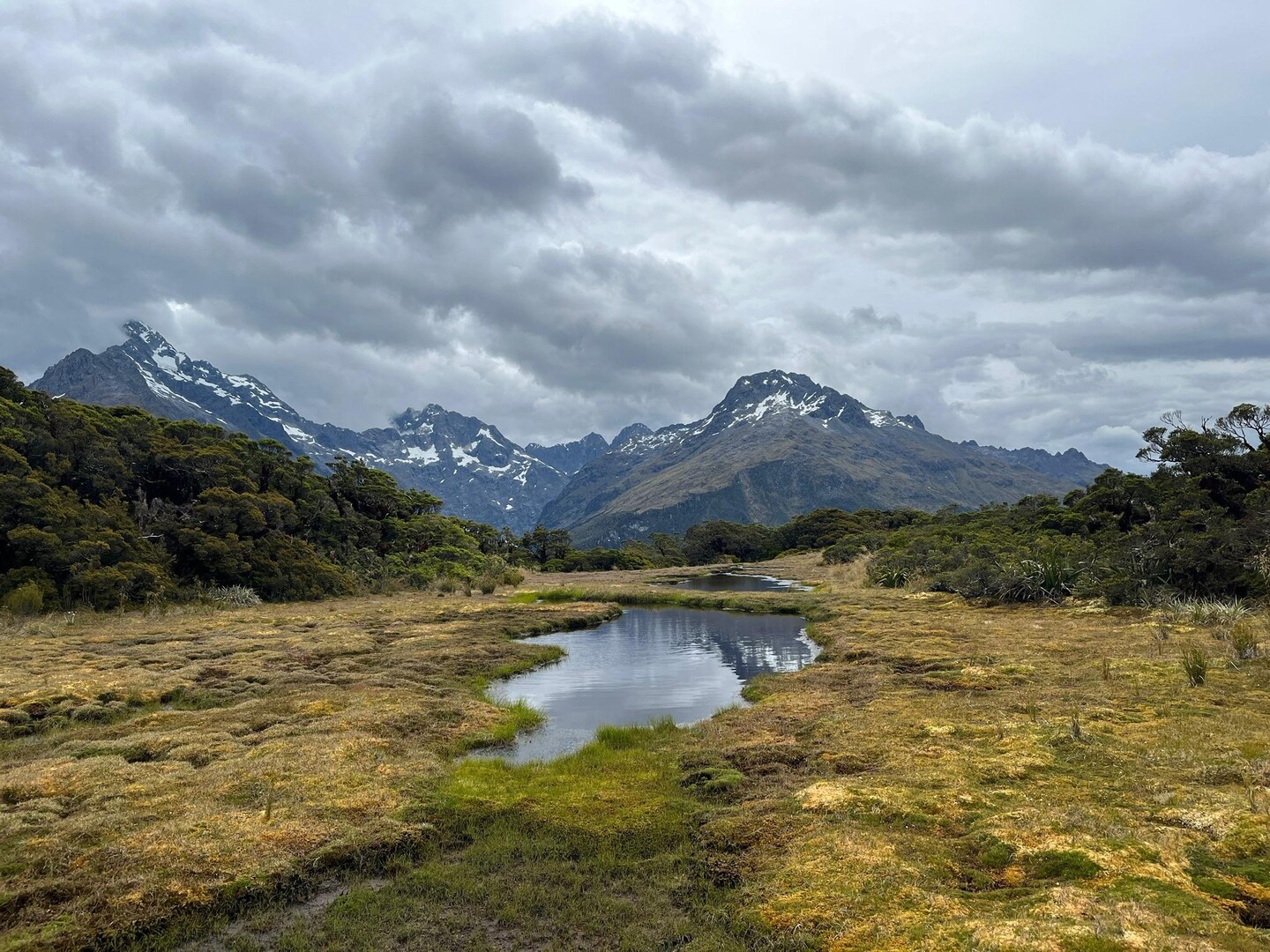 Routeburn Track-Key Summit Alpine walk-2023-01-04 / Takaさんのルートバーン・トラックの活動データ | YAMAP / ヤマップ
