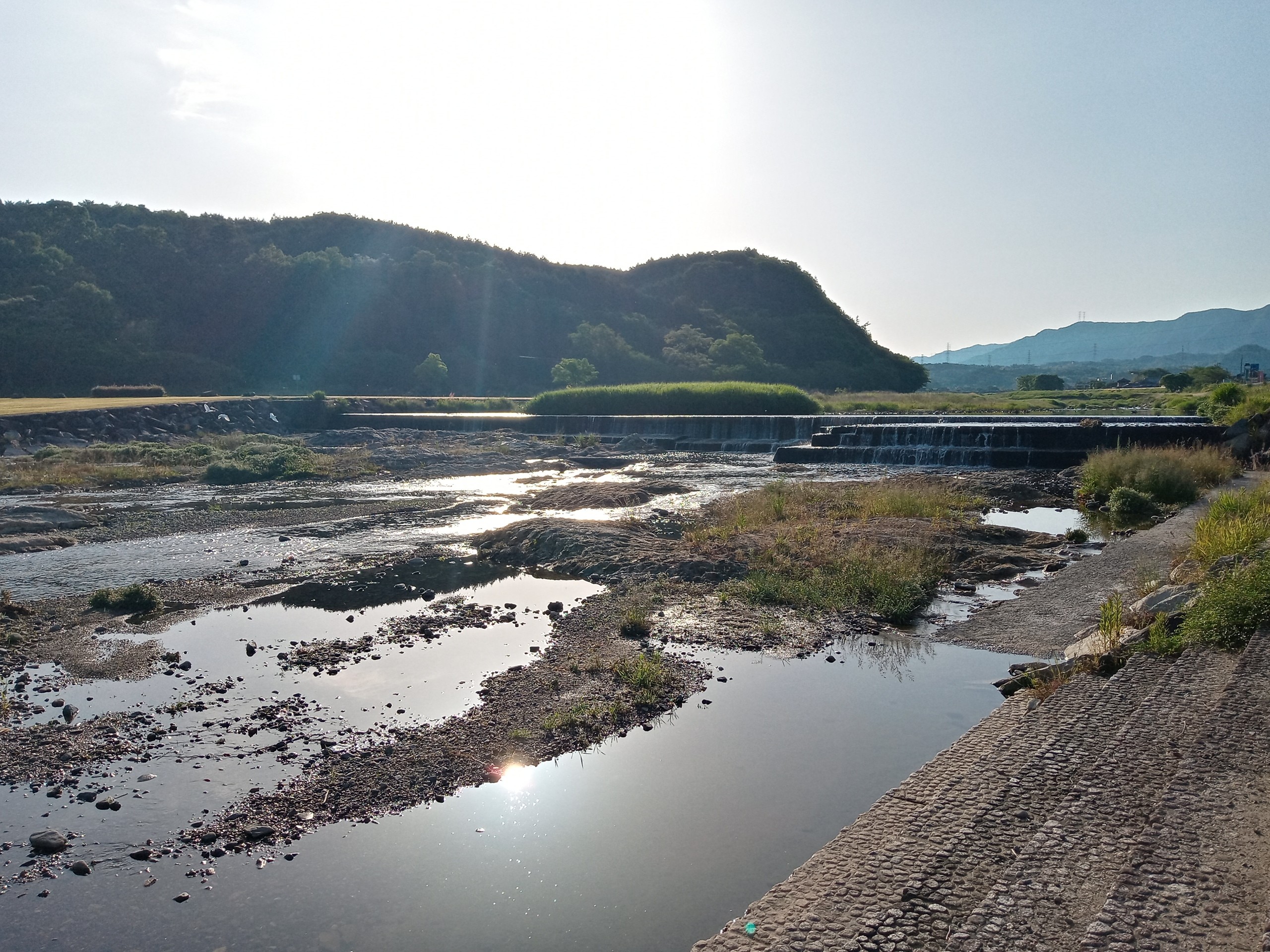 土器川ランニング 05 24 たかさんの大高見峰 猫山 城山の活動データ Yamap ヤマップ