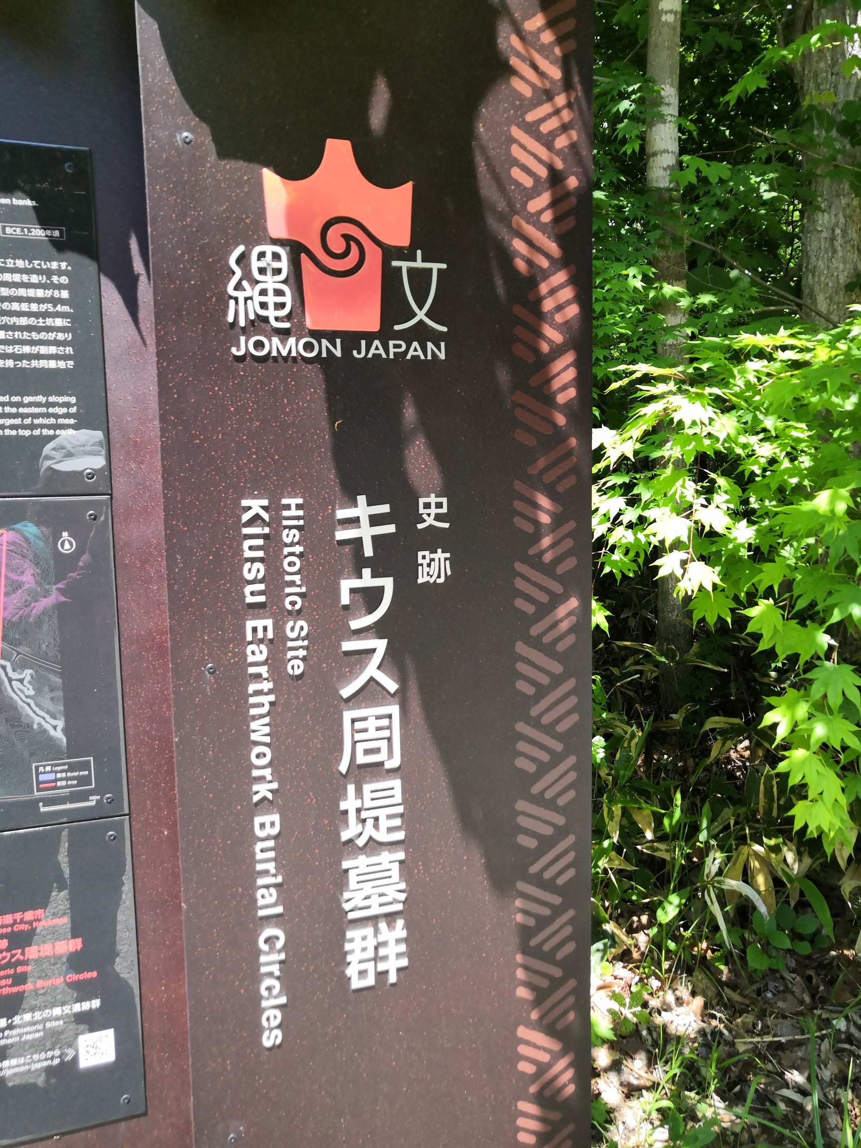 新自転車でキウス徘徊(千歳市)-2020-06-02 / コズさんの千歳市の活動 