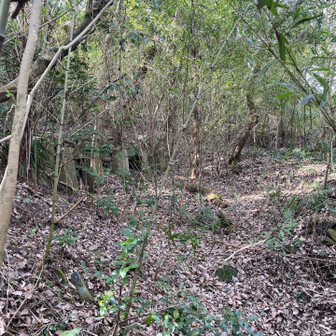 飯塚市 なにかの施設跡。