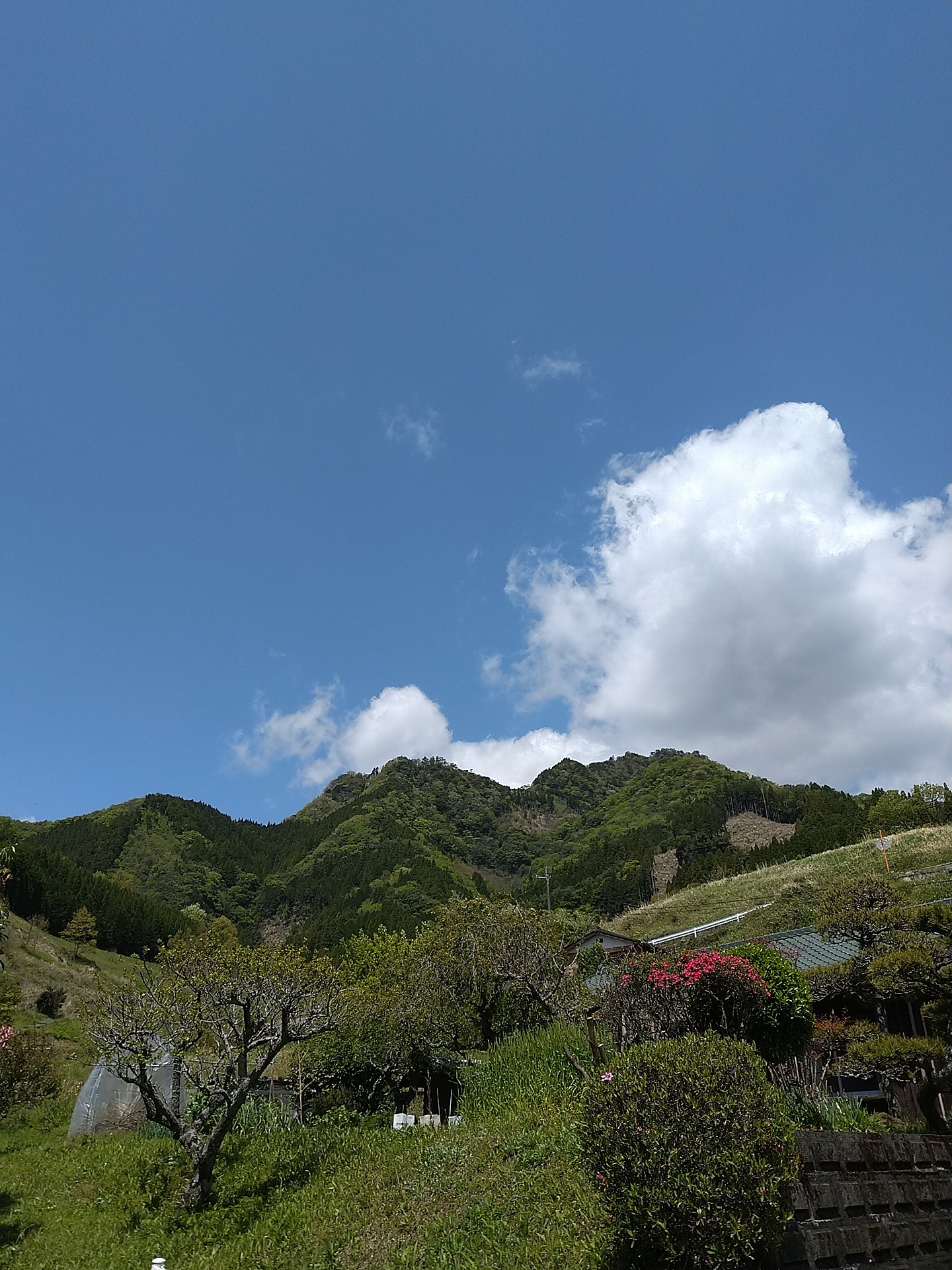 玄武山 高千穂は良いとこばい 21 04 18 ペコちゃんさんの諸塚山の活動データ Yamap ヤマップ