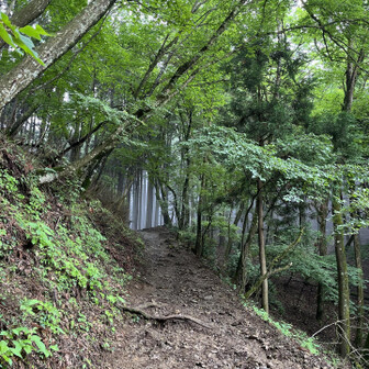 大岳山への道がホワイトアウトしていました。
