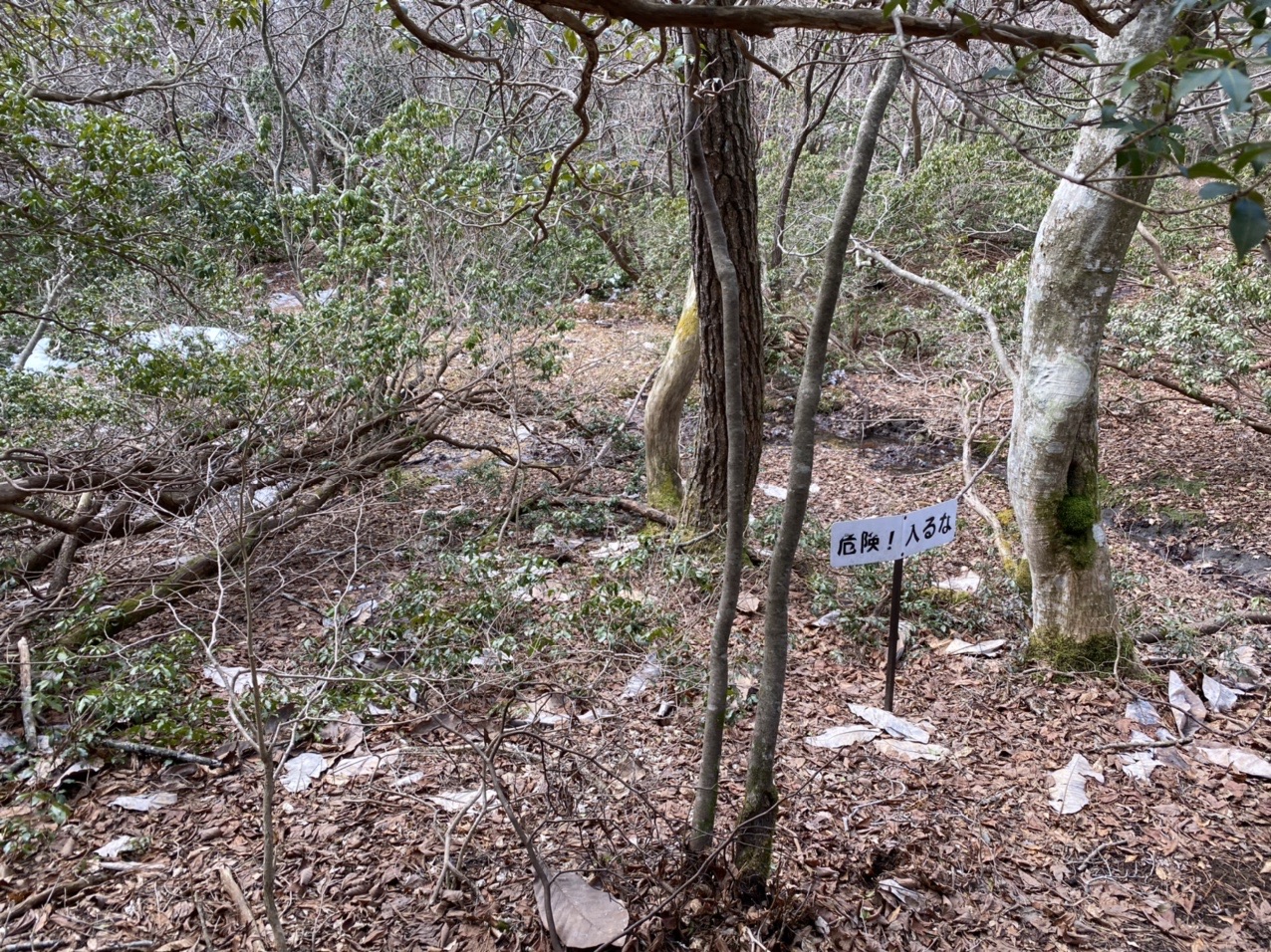 春の日本コバを周回 日本コバ 衣掛山 どんマイケルさんの日本コバの活動データ Yamap ヤマップ