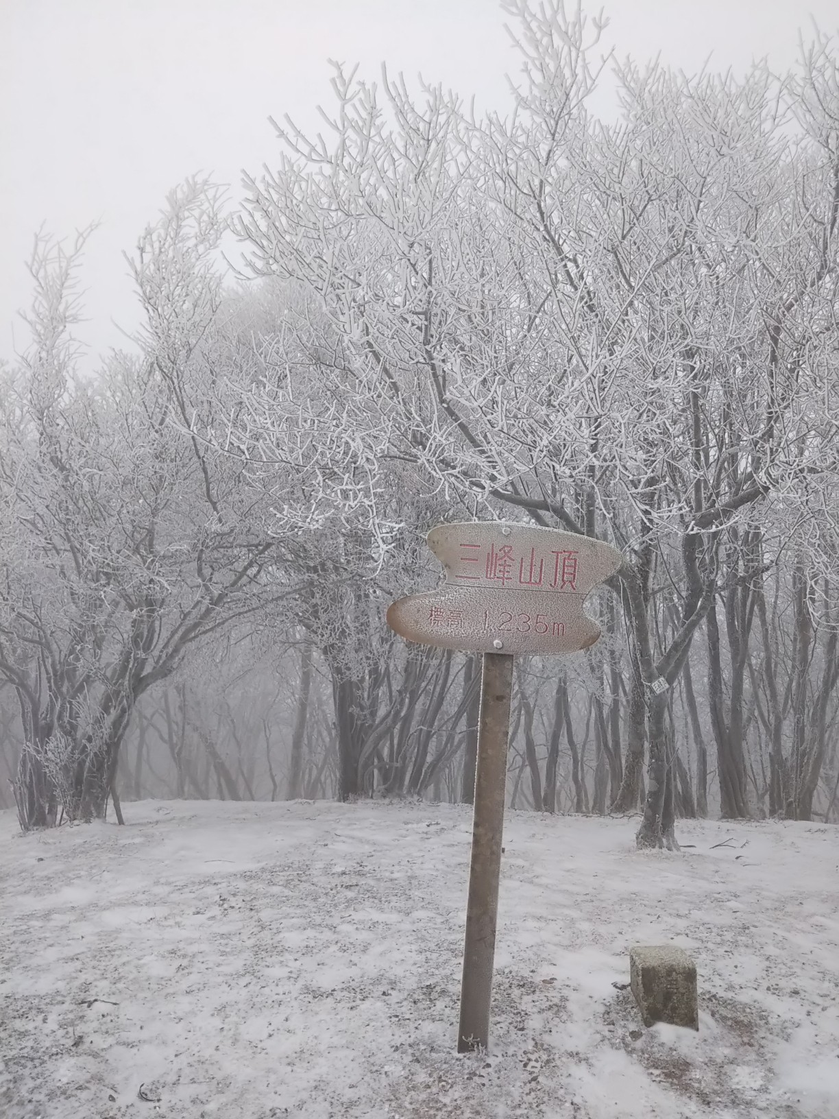三峰山 霧氷まつり Gakoさんの三峰山 学能堂山の活動データ Yamap ヤマップ