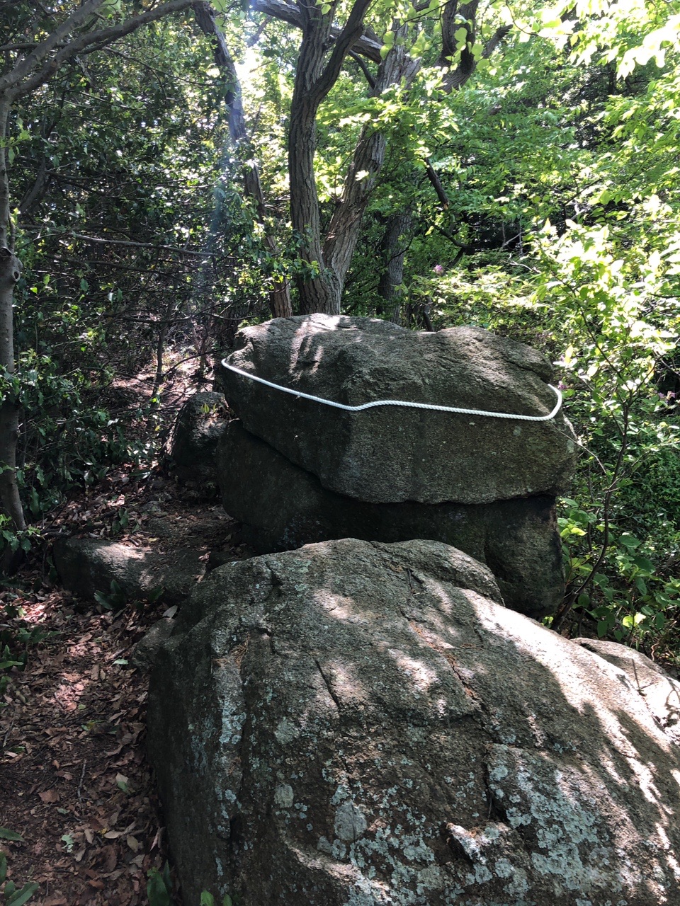 鬼ノ城山 六万寺山 三国山 大原山 旗立山 さよさんの生駒山 神津嶽 大原山の活動データ Yamap ヤマップ