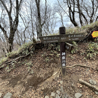 鍋割山へ行くことにしました