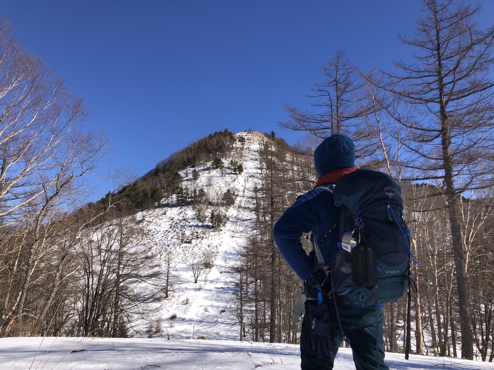 ラスボス感ハンパないって 笠取山 ケンチャイさんの和名倉山 笠取山 東仙波の活動データ Yamap ヤマップ