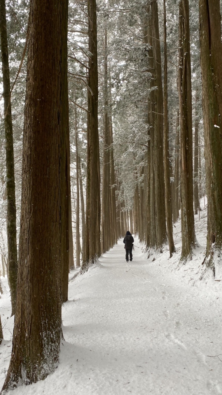 雪景色の霧藻ヶ峰と三峰神社 ヒルマンさんの雲取山 鷹ノ巣山 七ツ石山の活動日記 Yamap ヤマップ