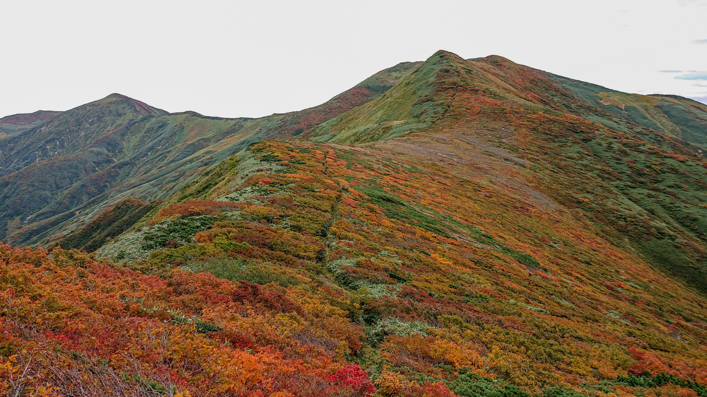 朝日連峰 大朝日岳 日暮沢小屋から周回 A 日帰り Odentosさんの大朝日岳 朝日連峰 祝瓶山の活動データ Yamap ヤマップ