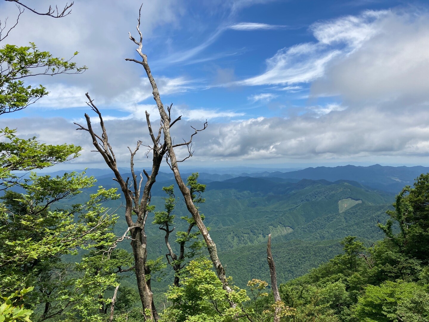 高見山 カヤノ山 天狗山 船峯山 07 02 Big Fishさんの高見山 黒石山 天狗山の活動データ Yamap ヤマップ