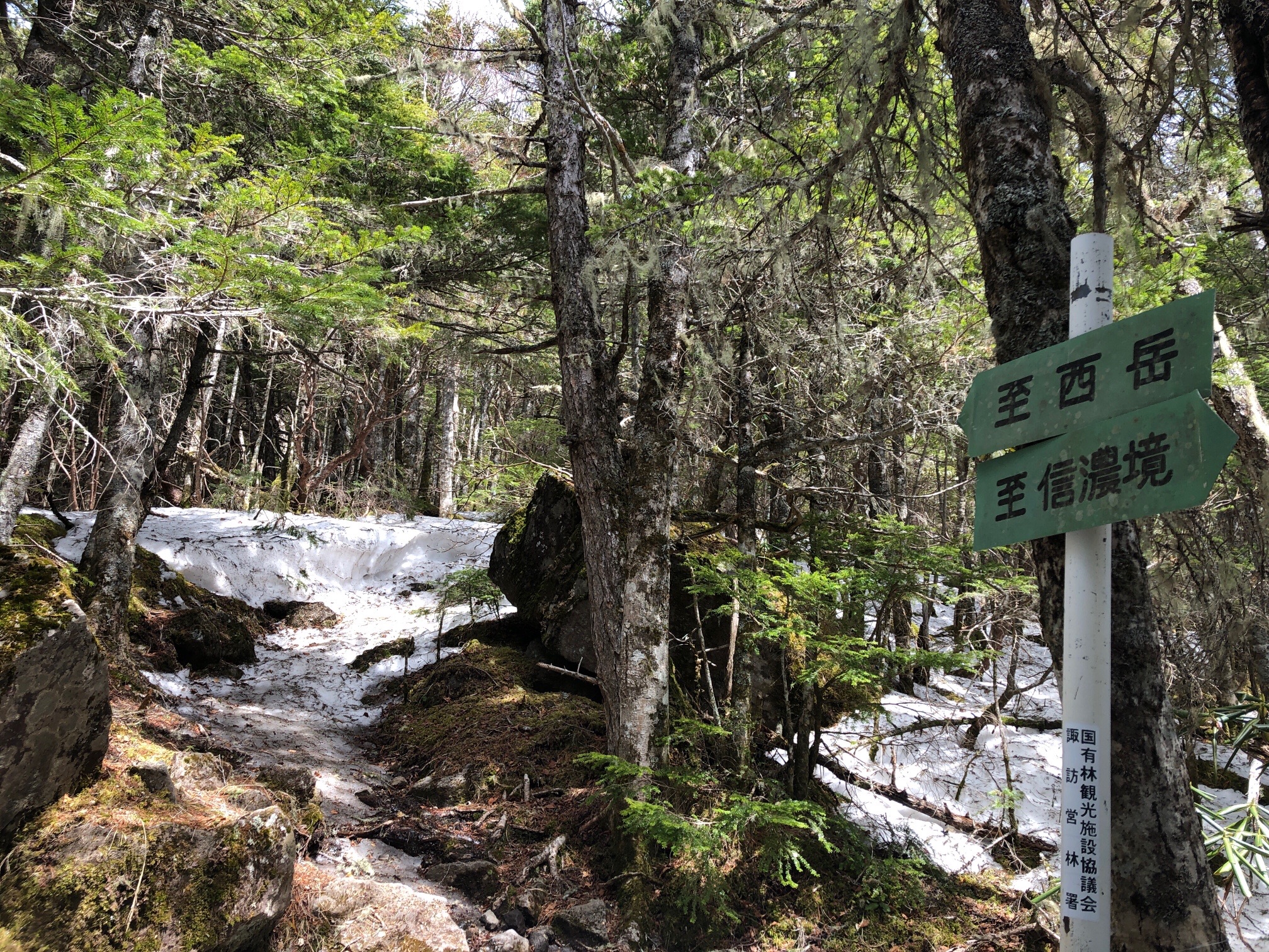 残雪がないように見えるが、そこは氷上。