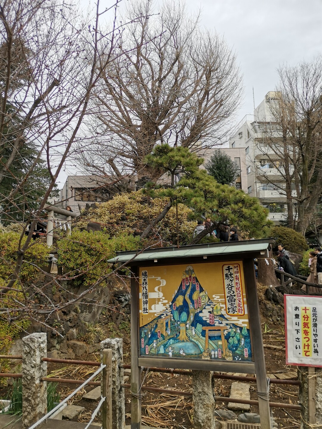 3 箱根山 千駄ヶ谷富士 西郷山 新宿御苑 大橋jct天空庭園 01 12 Sunpondさんの東京都23区 中央エリアの活動日記 Yamap ヤマップ