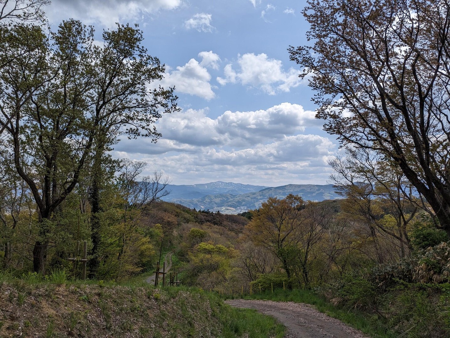 荒倉山 / ゆうさんの高館山・荒倉山の活動データ YAMAP / ヤマップ