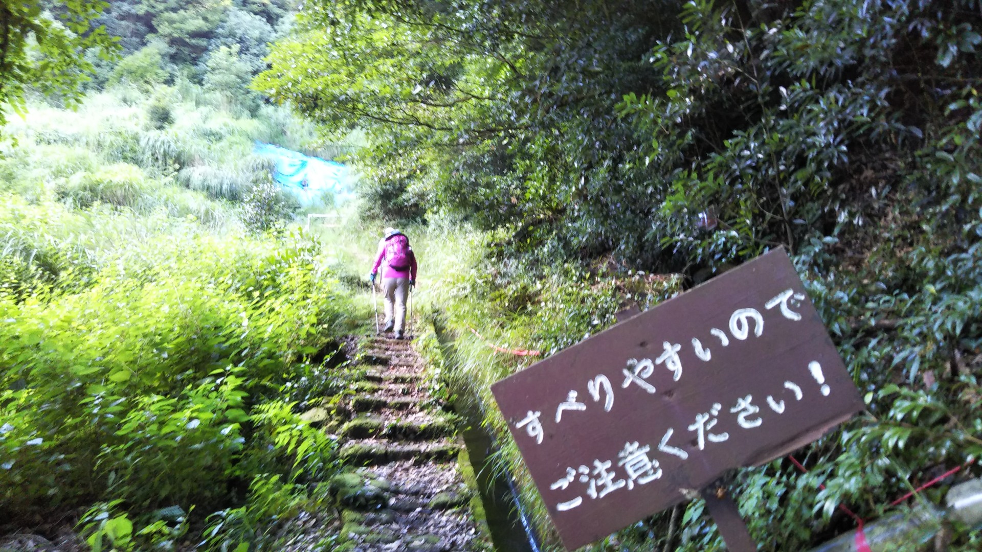 丸尾自然探勝路 19 07 31 もものすけさんの霧島山 韓国岳 高千穂峰の活動データ Yamap ヤマップ