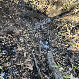 下りルートは日陰で霜柱が続き、冷んやり