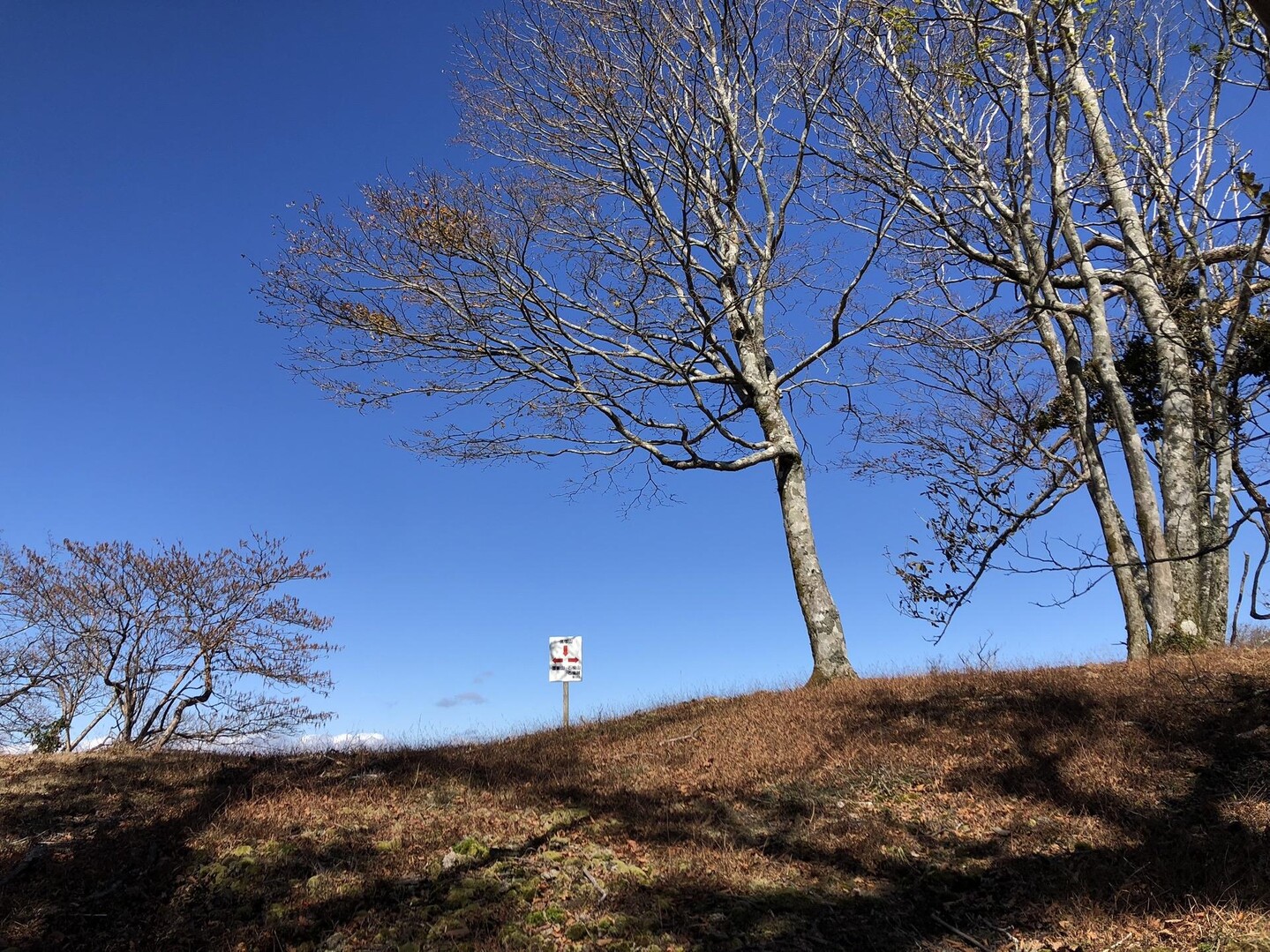 石蔵峠⇔高塚山⇔石楠峠 / おはぎマンさんの岩宇土山・白鳥山・銚子笠の活動データ YAMAP / ヤマップ