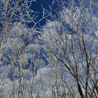 四阿山・根子岳 霧氷ワールド