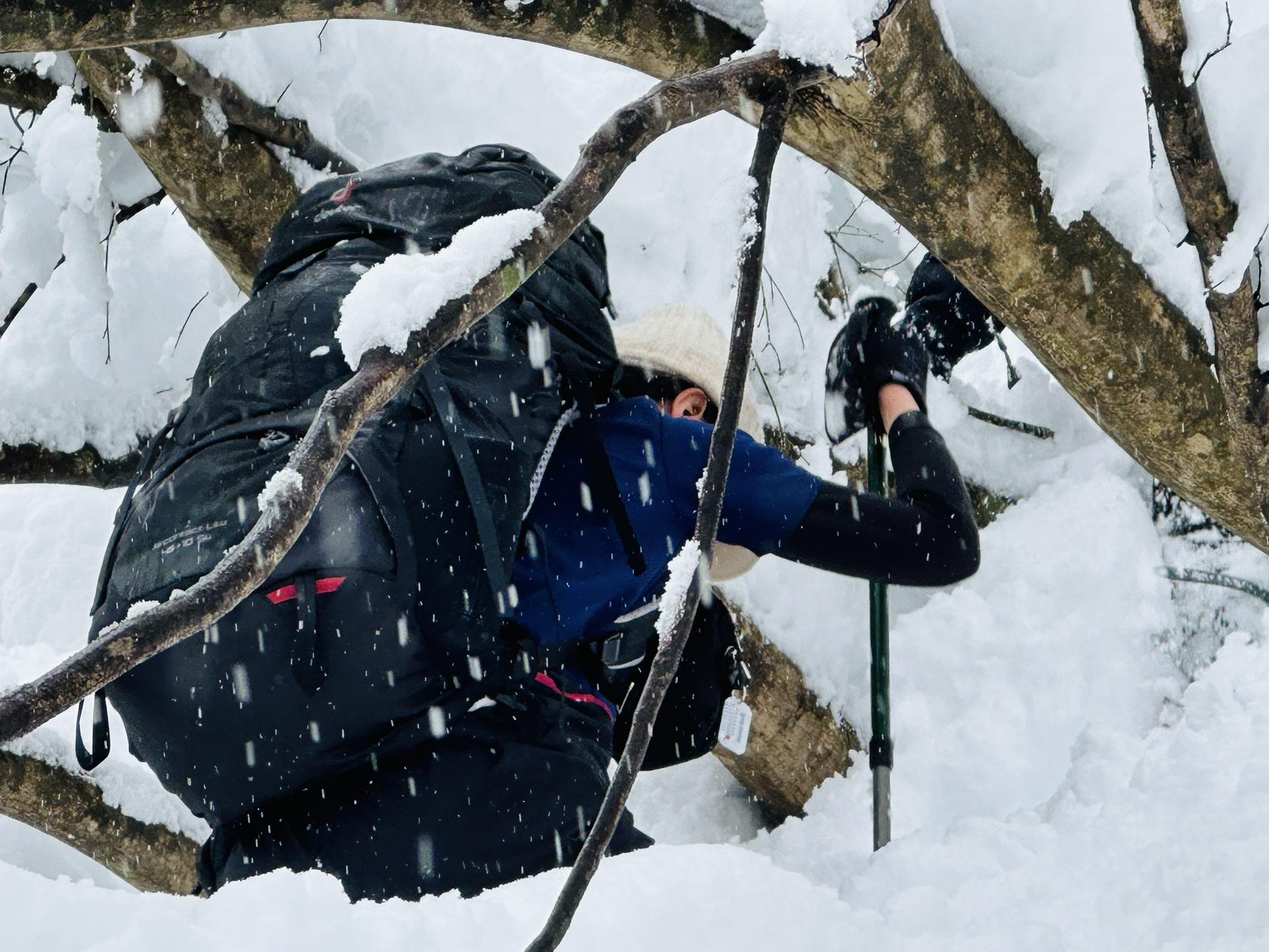 医王山・白兀山・箱屋谷山 木をくぐり、跨ぎ、えっさ、ほいさ