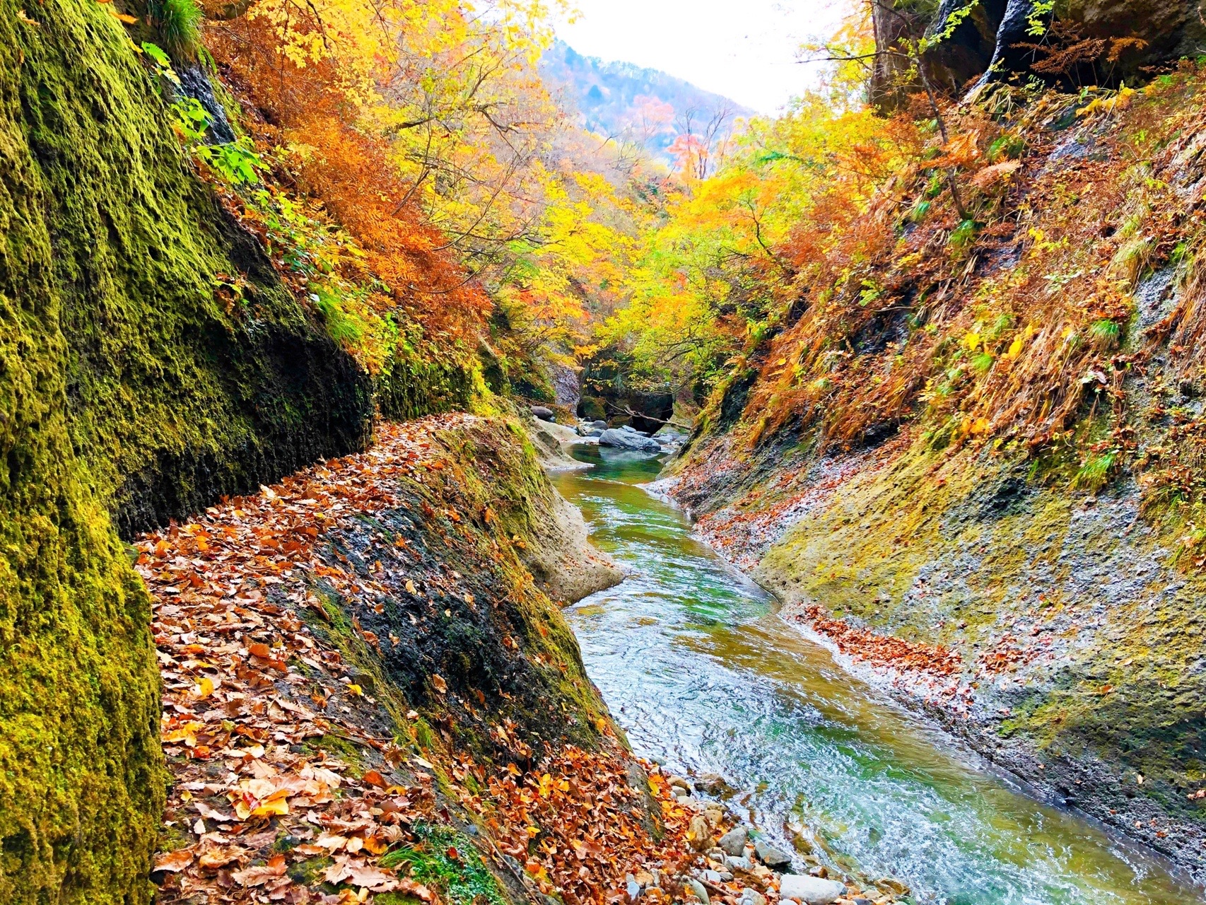 面白山 紅葉川渓谷 もんもんさんの面白山 神室岳 雨呼山の活動データ Yamap ヤマップ