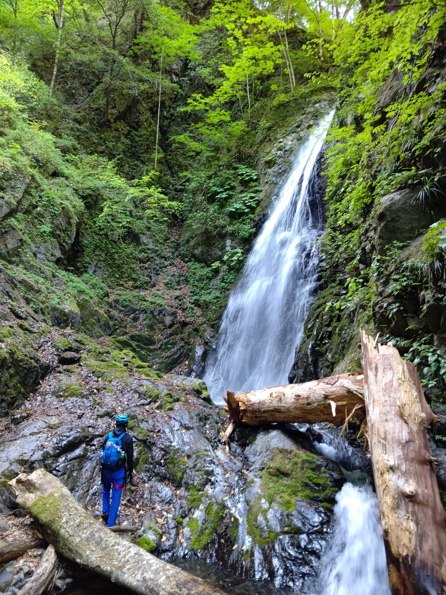 龍神　五橋　雨後の月　楯野川　鶴齢　天の戸 楯野川 SAKERISE 暁光 （GYO-KOU）720ml 【オリジナルグラス付き